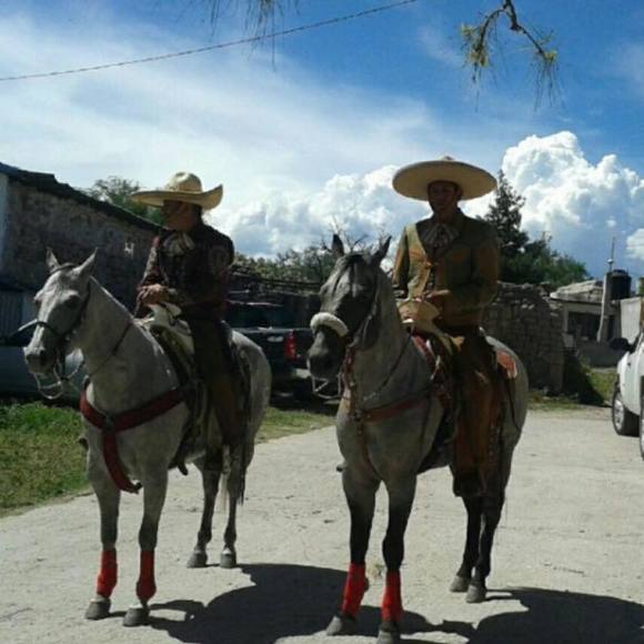 Meet your Posher, Jimmy - Picture 1 of 1